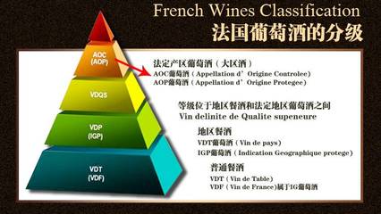 法國原瓶進口紅酒 龍船莊園AOC靈氣波爾多干白葡萄酒 750ml